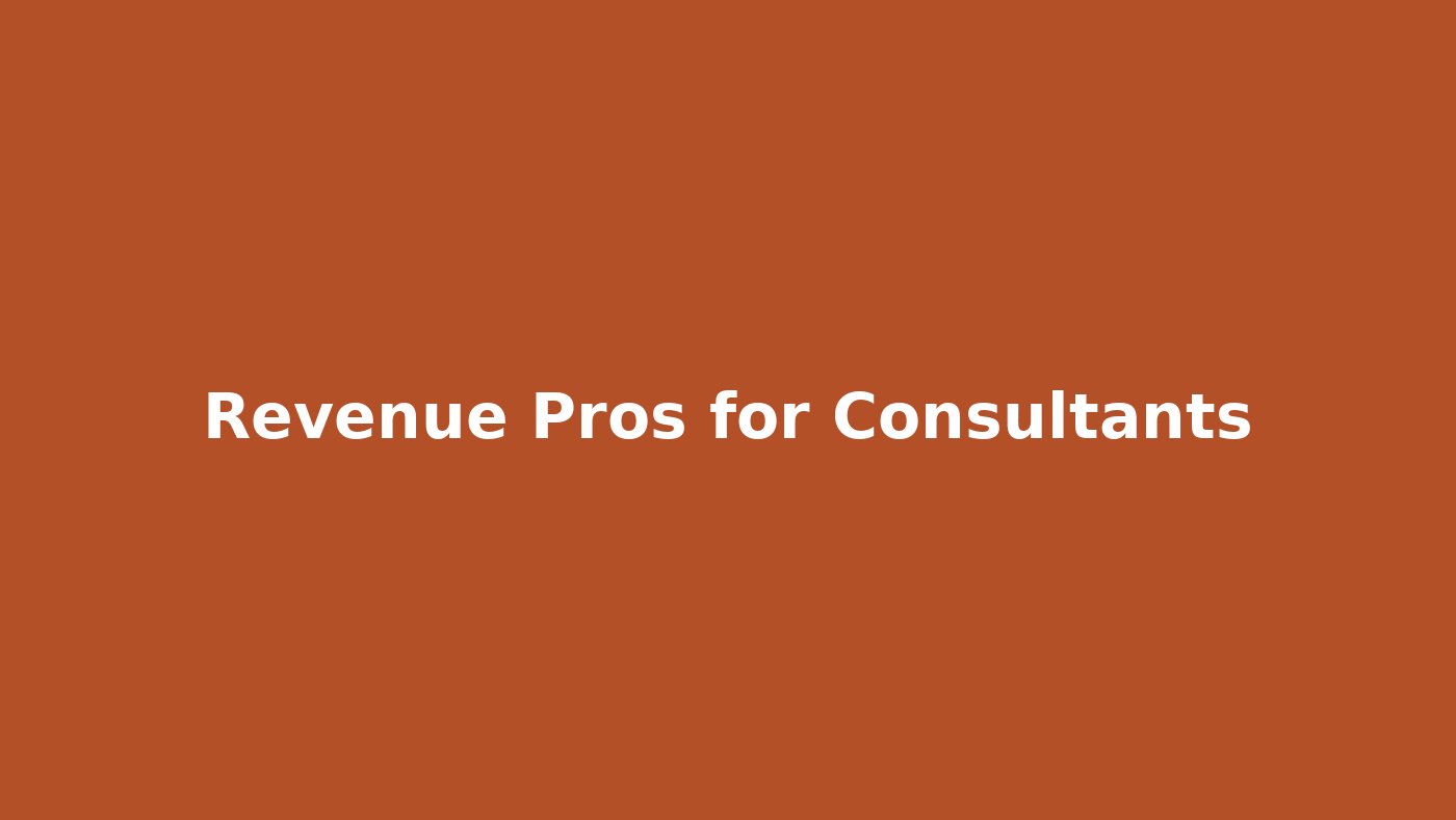 Consultant presenting revenue strategy to a client